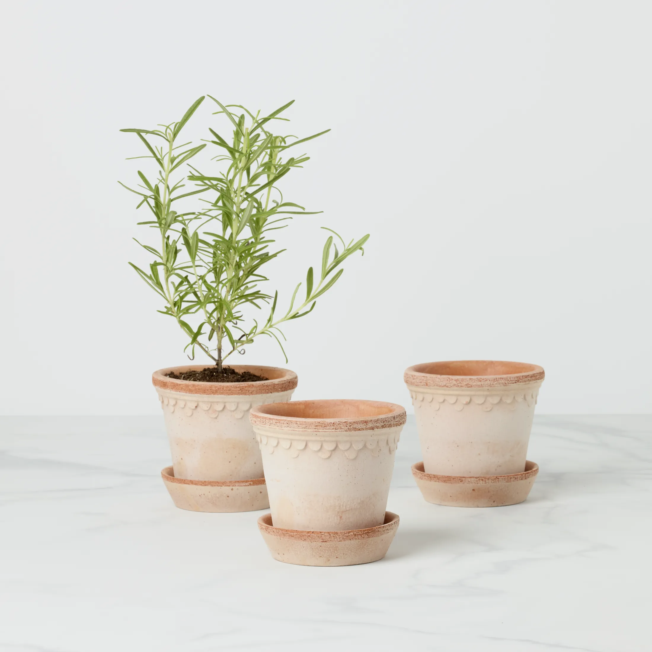 Kobenhavner Rosa Pot Set, Set of 3