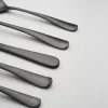 Rhiannon Black Satin 20-Piece Flatware Set