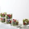 Tuscany Classics Stackable Clear Short Glasses, Set of 6
